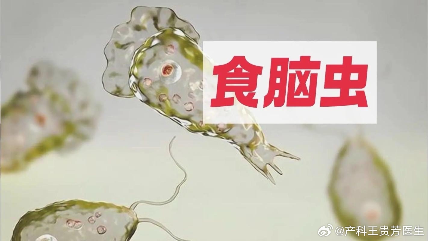 游戏专题 第5页